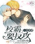 尘埃落定:学霸要反击