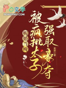 赐婚当晚,被疯批太子强取豪夺